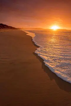 ابو عبدالرحمن