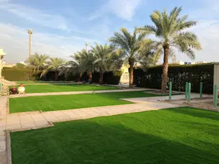Faisal